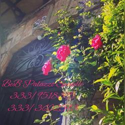 B&B Palazzo Spinelli