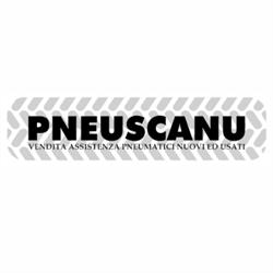 Pneuscanu