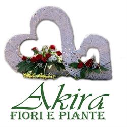 Akira fiori e piante
