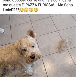 il Bello delle Donne