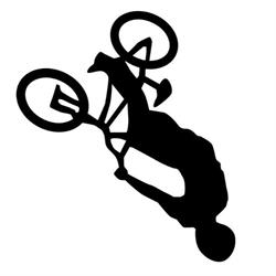 Back Flip Mountain Road and More Bikes