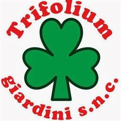 Giardiniere Trifolium Giardini Snc