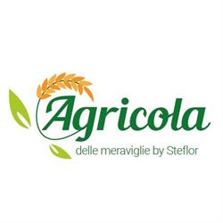 STEFLOR