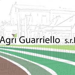 AGRI GUARRIELLO S.R.L.