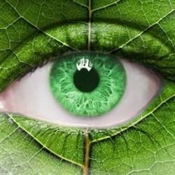 ECOBIO E ART