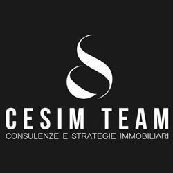 CESIM TEAM