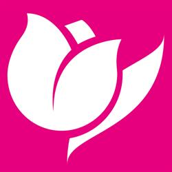 Il Tulipano Srl