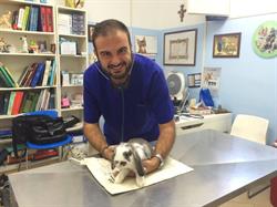 Dott. Michele Falletta Medico Veterinario Animali Esotici