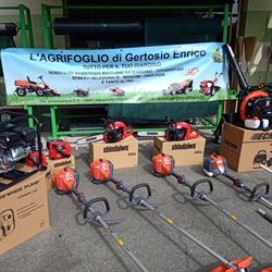 L'AGRIFOGLIO DI GERTOSIO ENRICO
