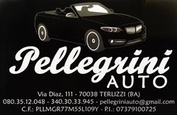 Pellegrini Auto