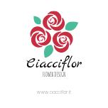 Ciacciflor Sas Di Ciacci Guja & c.