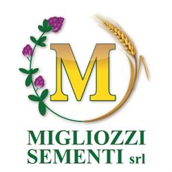 Migliozzi Sementi