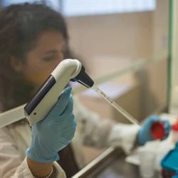 GYNECOLAB SRL DEL DR. A. PETRACCA E DELLA D.SSA R. SANTAGATA