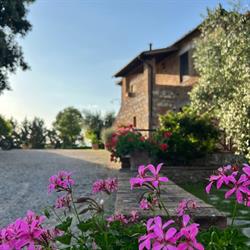 Agriturismo Podere il Moro