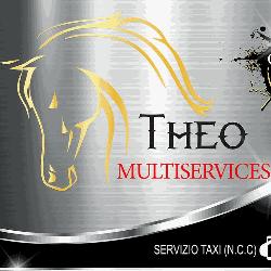 Theo Multiservice