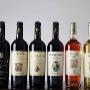 Vini Pugliesi DOCG BIO
