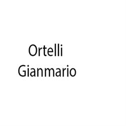 Ortelli Gianmario