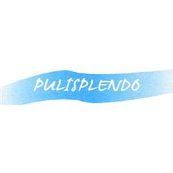 Impresa di Pulizie Pulisplendo