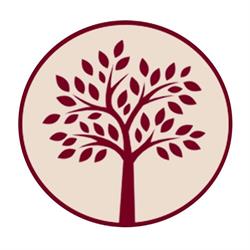 AllAlberone - Cucina con Cantina