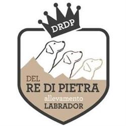 Allevamento del Re di Pietra