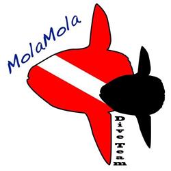 MolaMola Dive Team, Diving, snorkeling e whale watching