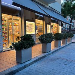 Libreria Capurro