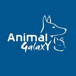 Animal Galaxy