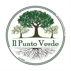IL PUNTO VERDE