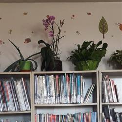 Biblioteca di Offanengo