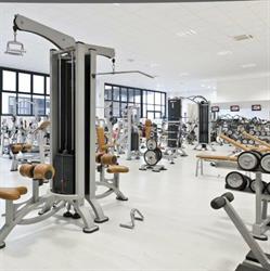 GF Fitness SSD a RL
