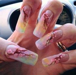 AMY NAILS Sovico