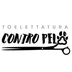 Toelettatura Contro Pelo