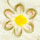Apicoltura Minuscoli