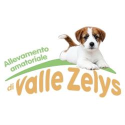 Allevamento di Valle Zelys