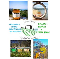 La Collina sul Mare