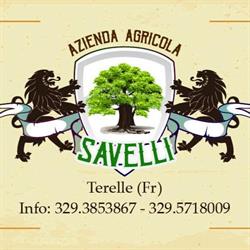 Savelli azienda agricola Terelle -FR