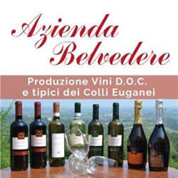 Azienda Belvedere