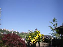 Bed and Breakfast Casa Rosella - Country House