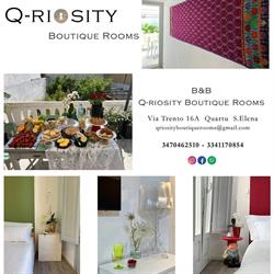 Q-riosity boutique rooms