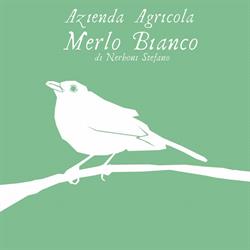 Azienda Agricola Merlo Bianco di Nerboni Stefano