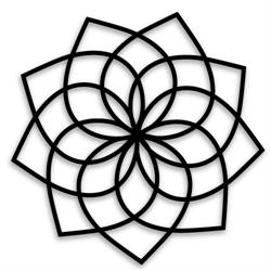 SogliaNetwork