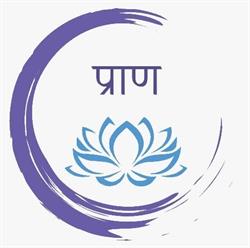 Prana Studio Yoga