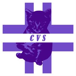 Centro Veterinario Scalea
