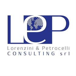 LEP Consulting