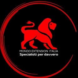 Mondo Extension