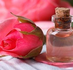 Farmacia Elisir di Rosa