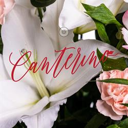 Christian Canterino