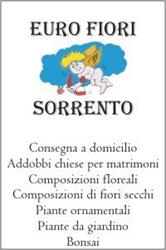 Euro Fiori Sorrento