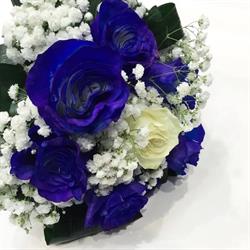Fiorin Fiorello