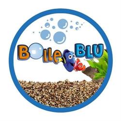 BOLLE BLU Acquariologia Tp